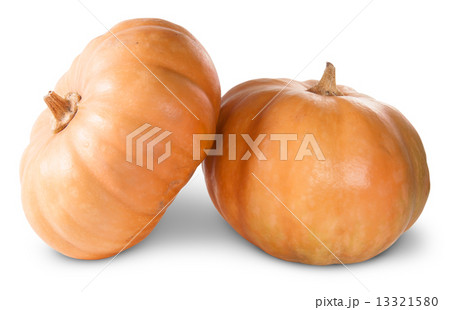 Mini Orange Pumpkins 13321580