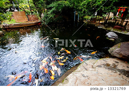 東京都 港区 愛宕神社 庭園 池 東京都 港区 愛宕神社 庭園 池 13321769