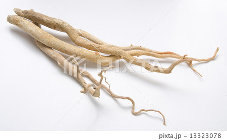 Tongkat Ali - nature's sexual stimulant. 13323078