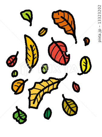 紅葉　秋 13323202