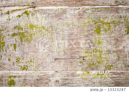 Old grungy plywood with green paint, background texture 13323287