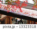 参道の屋根に散る紅葉 13323318
