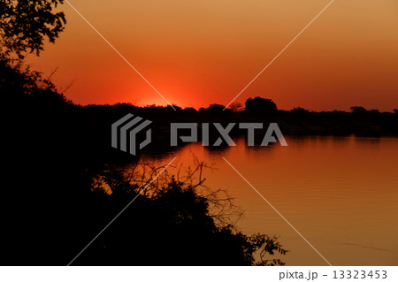 African sunset on Zambezi African sunset on Zambezi 13323453