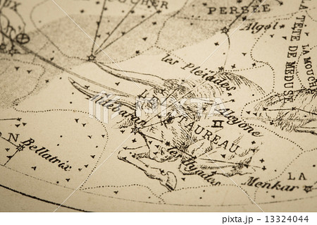 アンティークの天体図 牡牛座 アンティークの天体図 牡牛座 13324044