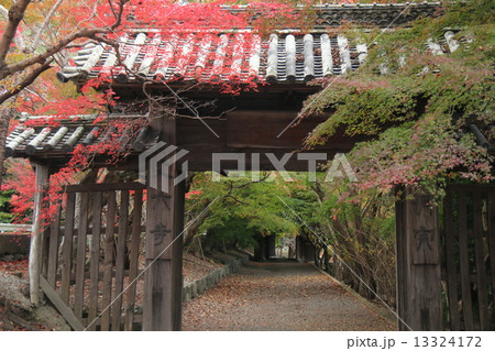 丈六寺の秋 丈六寺の秋 13324172
