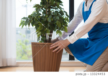 内装準備 13324453