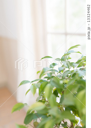 部屋 部屋 13324462