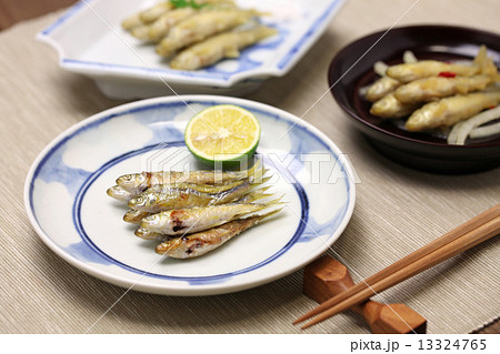 ホンモロコ料理 13324765