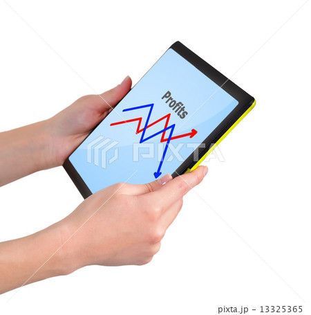 profits on touchpad profits on touchpad 13325365