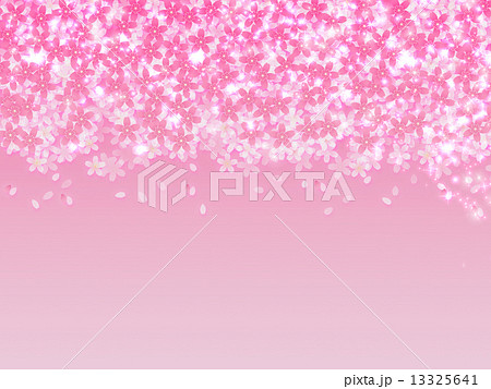 桜吹雪 桜吹雪 13325641