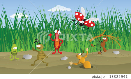 Funny Bugs in the Grass 13325941