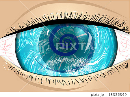 iris of eye 13326349