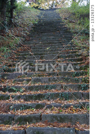 信濃三十三観音霊場 虫歌山 桑台院(第七番札所)桑台院石段 信濃三十三観音霊場 虫歌山 桑台院(第七番札所)桑台院石段 13326375