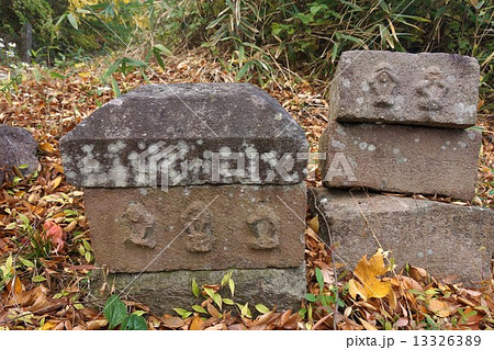 信濃三十三観音霊場 虫歌山 桑台院(第七番札所)境内石仏 信濃三十三観音霊場 虫歌山 桑台院(第七番札所)境内石仏 13326389