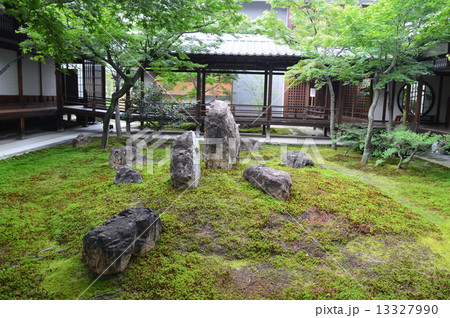 建仁寺の中庭･苔庭（京都市東山区小松町） 13327990