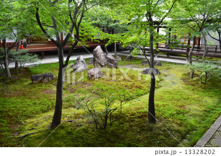 建仁寺の中庭･苔庭（京都市東山区小松町） 13328202
