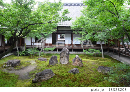 建仁寺の中庭 苔庭 京都市東山区小松町 の写真素材 1333