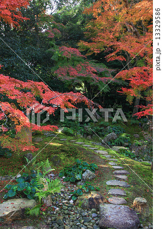 秋の長府毛利邸 秋の長府毛利邸 13329586