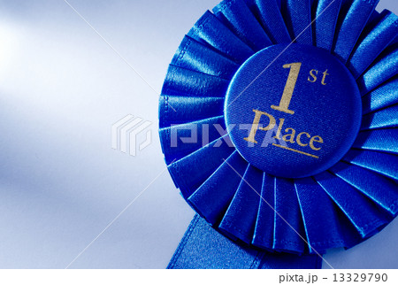 Blue 2nd place winners rosette Blue 2nd place winners rosette 13329790