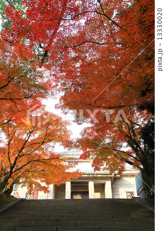 紅葉の長府博物館 紅葉の長府博物館 13330020