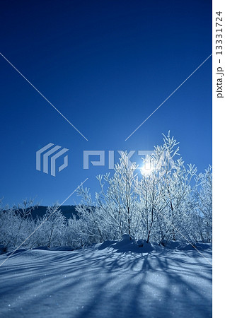 白馬冬雪景色観光イメージ 13331724