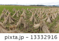稲刈り後の田んぼにあるわらぐろ 13332916