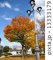 大木　紅葉 13333179