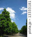 街路樹 13333181