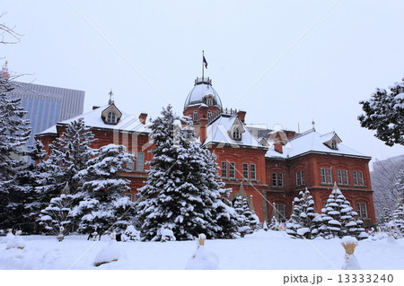 旧北海道庁 13333240