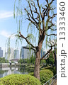 皇居前 13333460