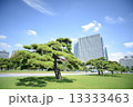 皇居前4 13333463