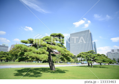 皇居前4 13333463