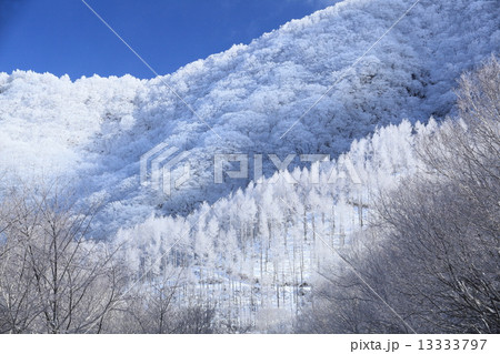 霧氷の華咲く赤城山 13333797