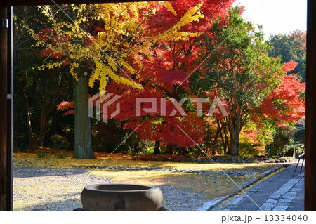 乾坤院 境内の紅葉 乾坤院 境内の紅葉 13334040