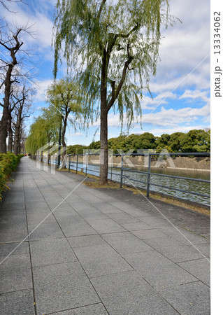 皇居前・内堀通り沿いの歩道 13334062