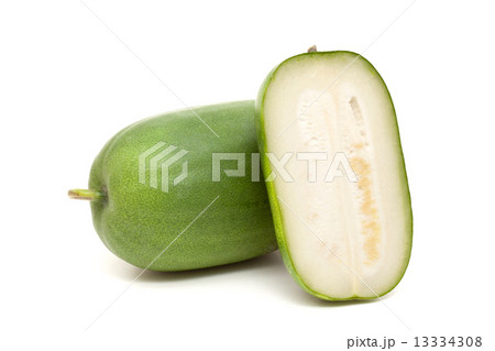 トウガン 13334308