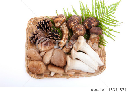 キノコ3種類 13334371