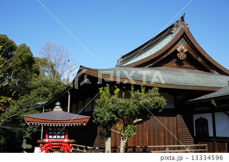 上野公園 13334596