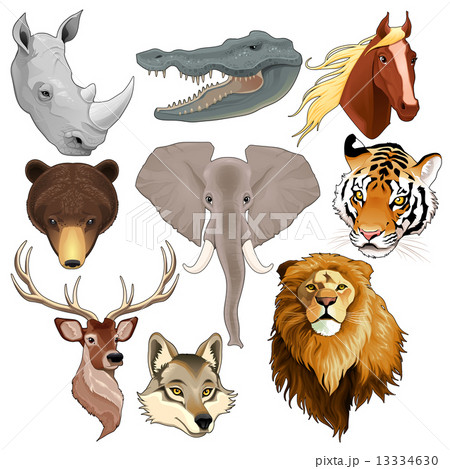 Set of animal heads 13334630