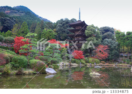 国宝・瑠璃光寺五重塔 13334875