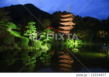 国宝・瑠璃光寺五重塔 13334877
