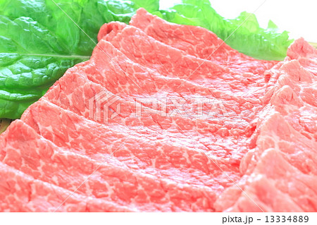牛肉 13334889
