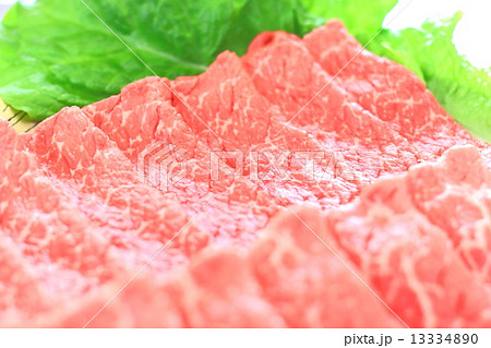 牛肉 13334890