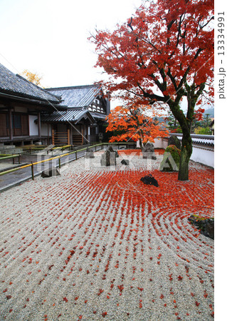 秋の光明禅寺 13334991