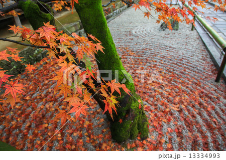 秋の光明禅寺 秋の光明禅寺 13334993