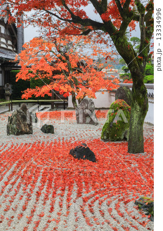 秋の光明禅寺 13334996