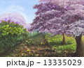 桜のある風景 13335029
