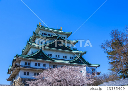 春の名古屋城 春の名古屋城 13335409