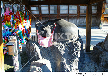 東京・牛嶋神社の撫牛 13336517
