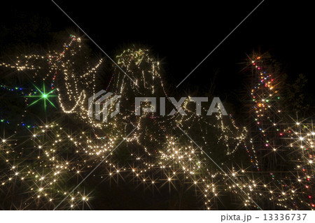 イルミネーション 13336737